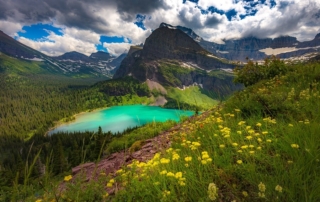 Montana Golf Cart Laws