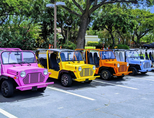 MOKE Low Speed Electric Vehicles – Unique, Versatile and Very Popular